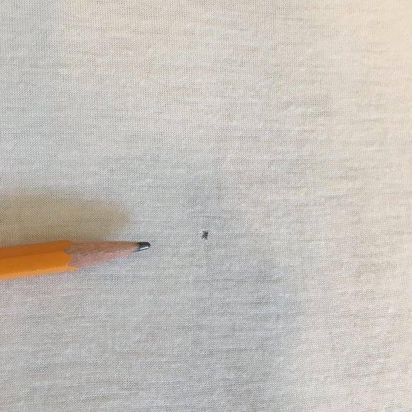 🔥Paris France 🇫🇷Eiffel Tower T-Shirt - Picture 7 of 8